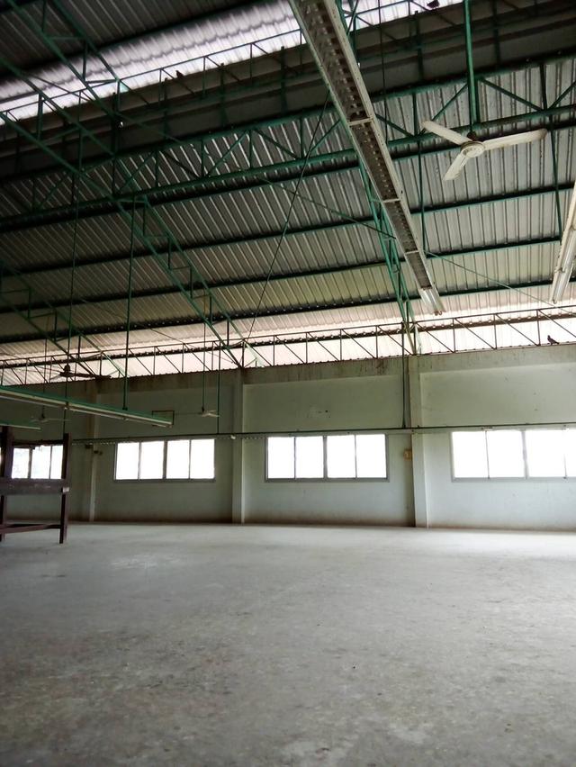 Warehouse on sale at Phimai  at Nakhonratchasima province  3