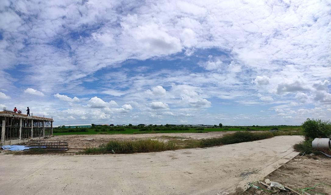 ขายที่ดิน+โกดัง 2