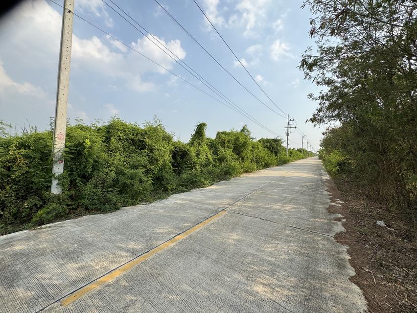 ขายที่ดินจัดสรร 50ตรว. ราคาถูกแปลงละ250,000 บ่อเงิน ลาดหลุมแก้ว ปทุมธานี 3