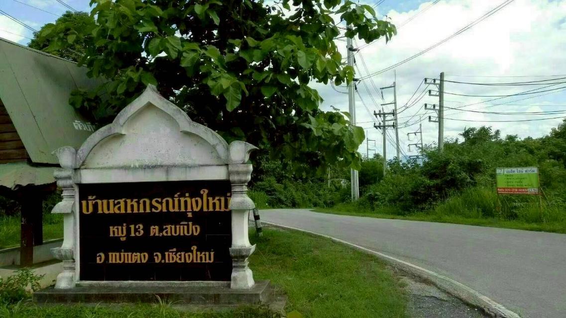ขายด่วนที่ดินแม่แตงวิวดอยเหมาะทำบ้านพัก รูปที่ 10