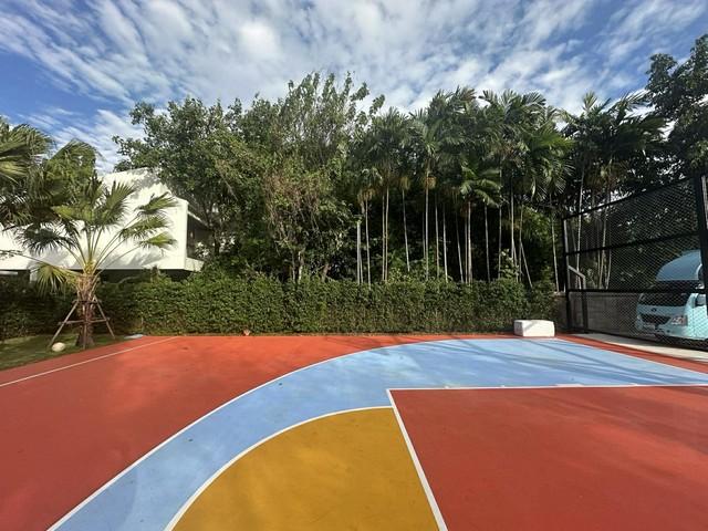 P625 ให้เช่า ขาย ที่ดิน ซอยเอกมัย 22 ขนาด 172 ตารางวา ถนนสุขุมวิท คลองตันเหนือ เขตวัฒนา เหมาะซื้อสร้างบ้าน 3