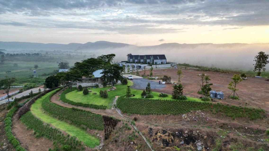 ขายที่ดินเขาใหญ่ บนเนินเขา *วิว360องศา เริ่ม 1.26 ล้านบาท (สูง 440 ม.)   อากาศบริสุทธิ์   อ.ปากช่อง จ.นครราชสีมา 13
