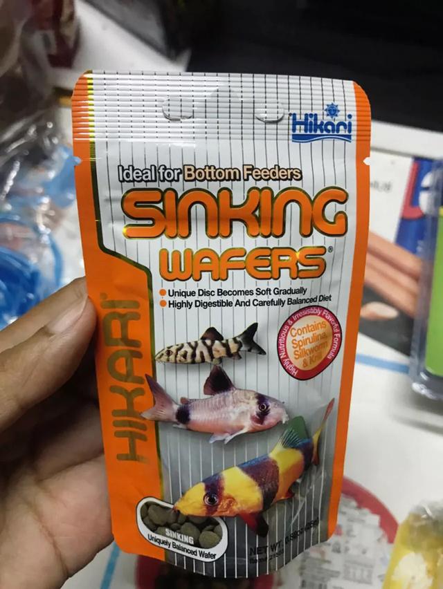 Hikari Sinking Wafers อาหารปลา ชนิดจมน้ำ 3