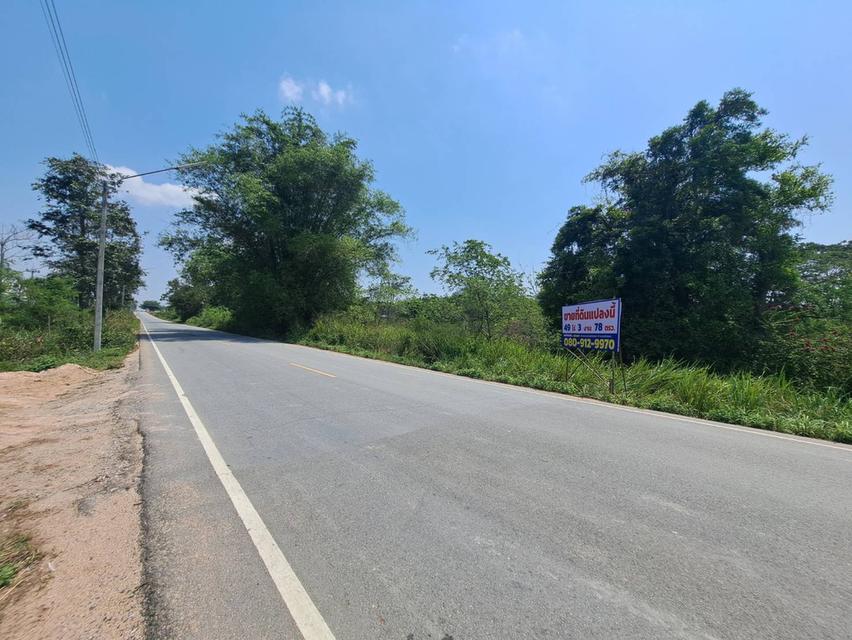 ขายที่ดินระยอง ที่ดินนิคมพัฒนาซอย11สาย15 เนื้อที่ 49-3-77.8 ไร่ ใกล้นิคมWHA36และBYDระยองเพียง 3.5 กม.รูปแปลงสวย 2