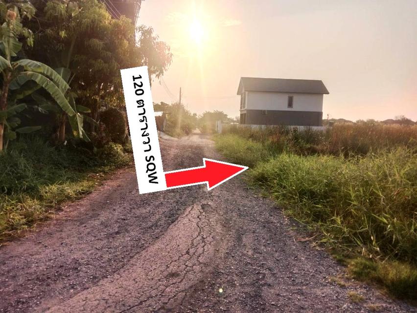 ขายที่ดินทำเลเด่น 120 วาเหมาะสร้างบ้าน อาคารสำนักงานสวยๆ ทำเลใกล้พหลโยธิน สายไหม จัดสรร น้ำไฟถนนครบหมด หาไม่ได้ พหลโยธิน 54/1แยก8-4-3  สวยมากทั้งราคา 7