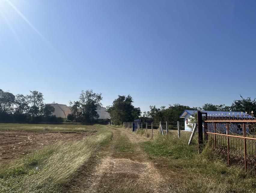 ขายที่ดิน1ไร่2งาน ใกล้คลังน้ำมัน เสาไห้ จ.สระบุรี 11