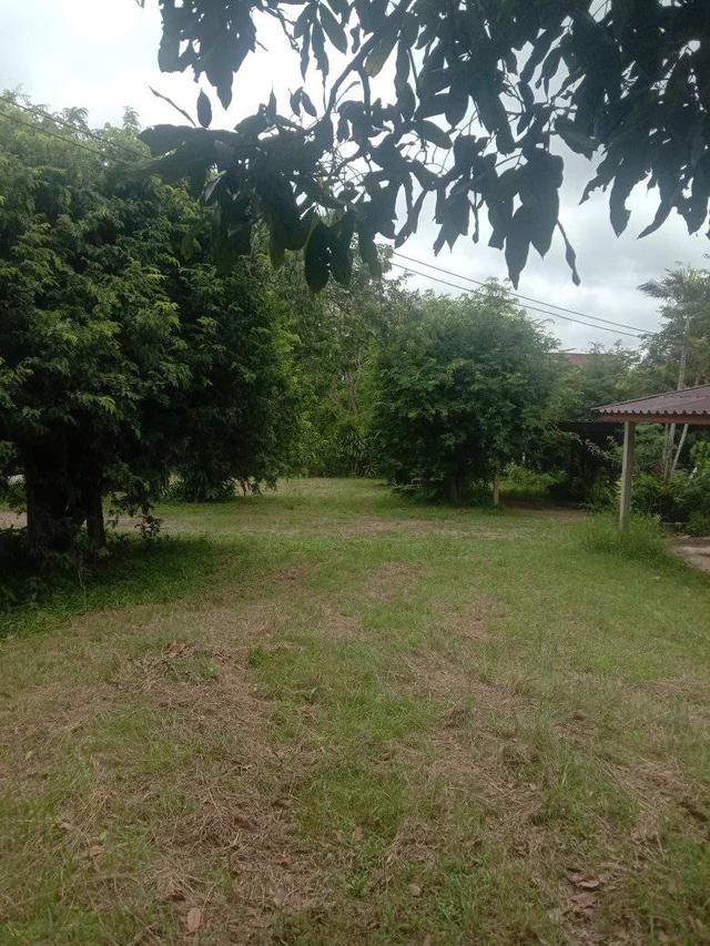 ที่ดินพร้อมบ้าน 4ไร่2งาน 3.2 ล้าน ห่างจากถนน 304 2กิโลเมตร ทางไปคลองสอง