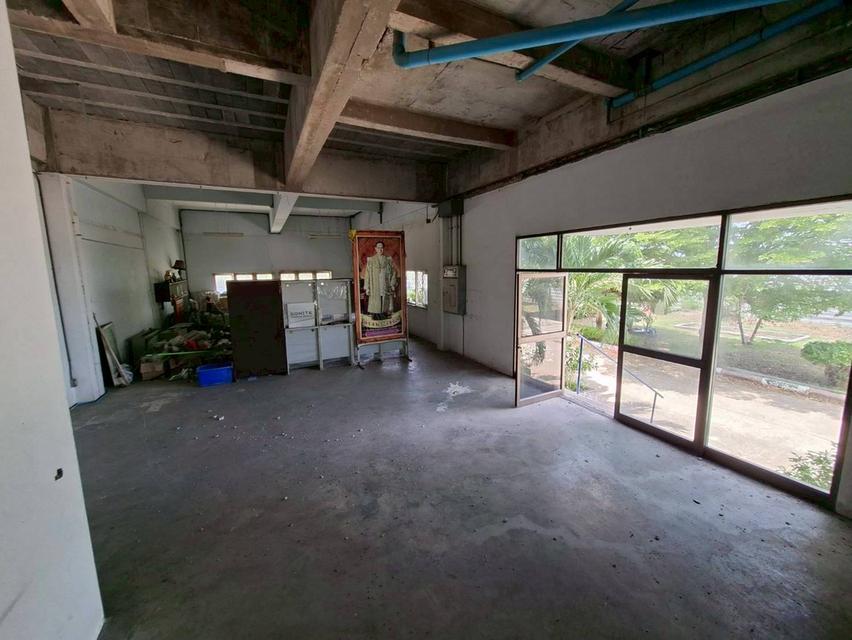ให้เช่าโกดัง 2 ชั้น บางนาตราด กม.38 ผังสีม่วง พื้นที่เยอะ ใกล้นิคมเวลโกรว์ (N.2219) 8