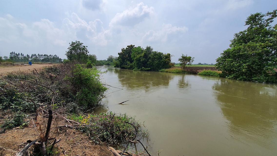 ที่ดินริมน้ำ ติดคลองท่าสารสายหลัก ได้ที่ฟรีอีกจำนวนหนึ่ง ที่สูงน้ำไม่ท่วม  8ไร่ 6