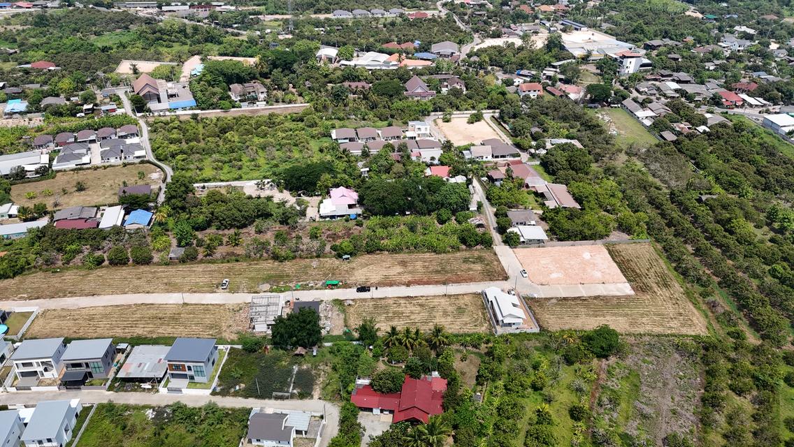 ขายที่ดินแปลงสวย  3 แปลง  🏠 อำเภอสารภี  จังหวัดเชียงใหม่ 172/173/141 7