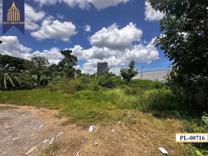 ขายที่ดิน 370 ตรว. บางนากม.6 ซอยปลัดเปรียง 10
