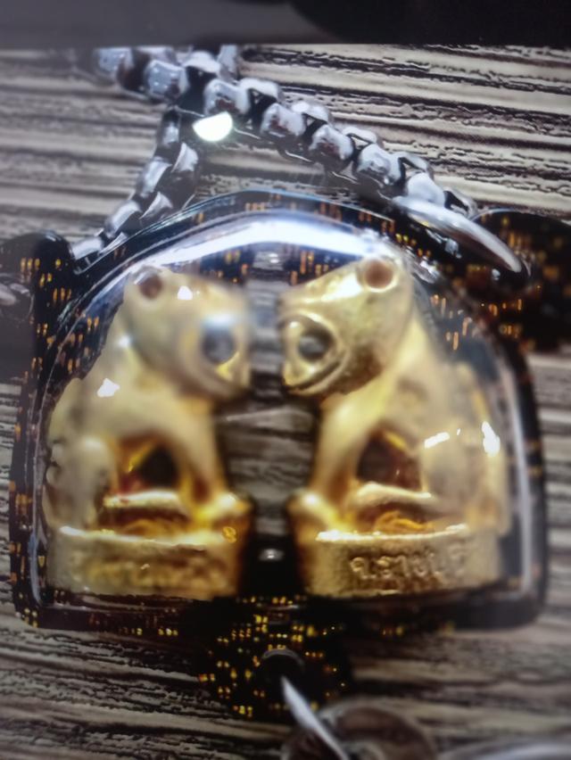 เสือพุทธาคม คู้ วัดชาวเหนือ จ.ราชบุรี 2