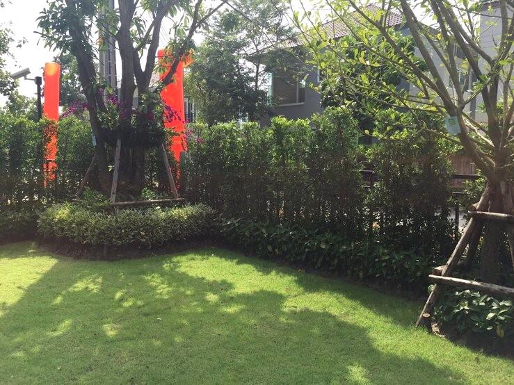 ขาย/ให้เช่า บ้านใหม่ 2 ชั้น Bangkok Boulevard เทพารักษ์–วงแหวน สไตล์โมเดิร์น แอร์ครบ เฟอร์ครบ เข้าอยู่ได้ทันที 11