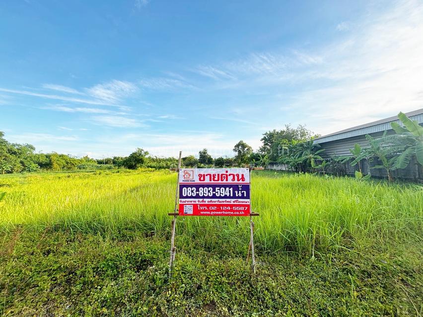 ที่ดินเปล่า เนื้อที่ 2 ไร่ ติดถนนเอราวัณ 1 ต.คลองสอง อ.คลองหลวง จ.ปทุมธานี 6