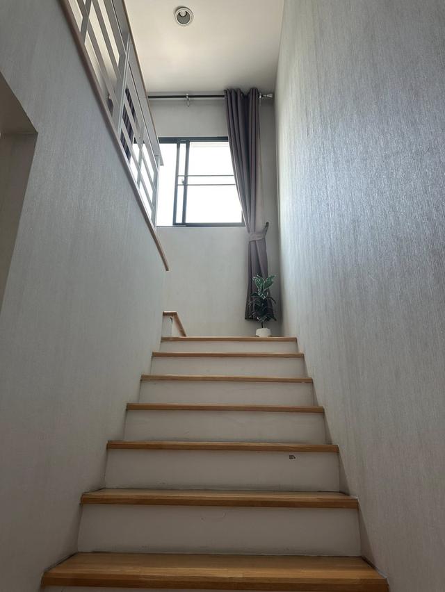 #ขายถูก/เช่า !!! บ้านกลางเมือง กัลปพฤกษ์ ทาวน์โฮม 3 ชั้น (บิ้วอินทั้งหลัง พร้อมเข้าอยู่) บนทำเลใจกลางรถไฟฟ้า 2 สาย 7