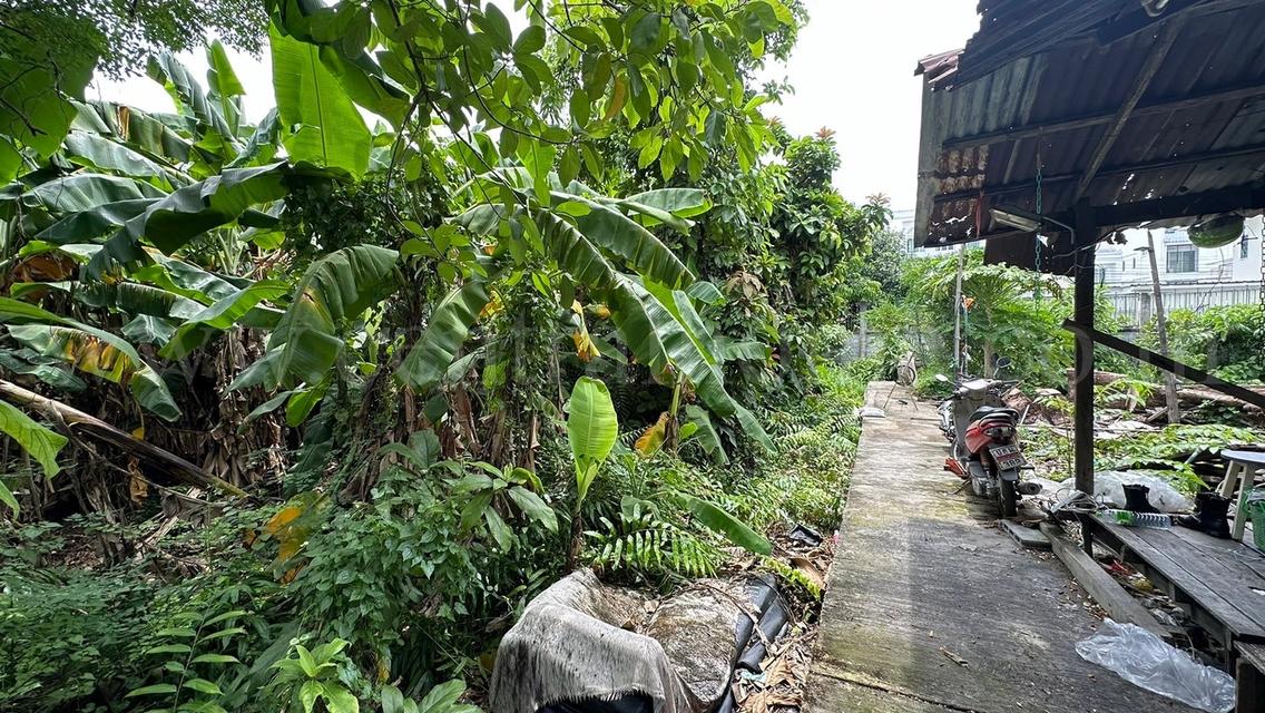 ที่ดิน 80.6 ตร.ว. ซอยจรัญสนิทวงศ์ 3 (ซอยสมชาย) ที่ริมคลอง ราคาถูกมาก 3