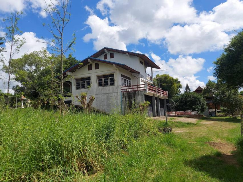 ที่ดินปากช่องพร้อมบ้าน 2.5 ไร่ ในตัวเมืองปากช่อง ถนนเทศบาล 5 หลังโรงพยาบาลปากช่อง ทางไปบ้านไร่ทอสี โรงเรียนปัญญาประทีป ทำกิจการร้านอาหารค้าขายได้ 2