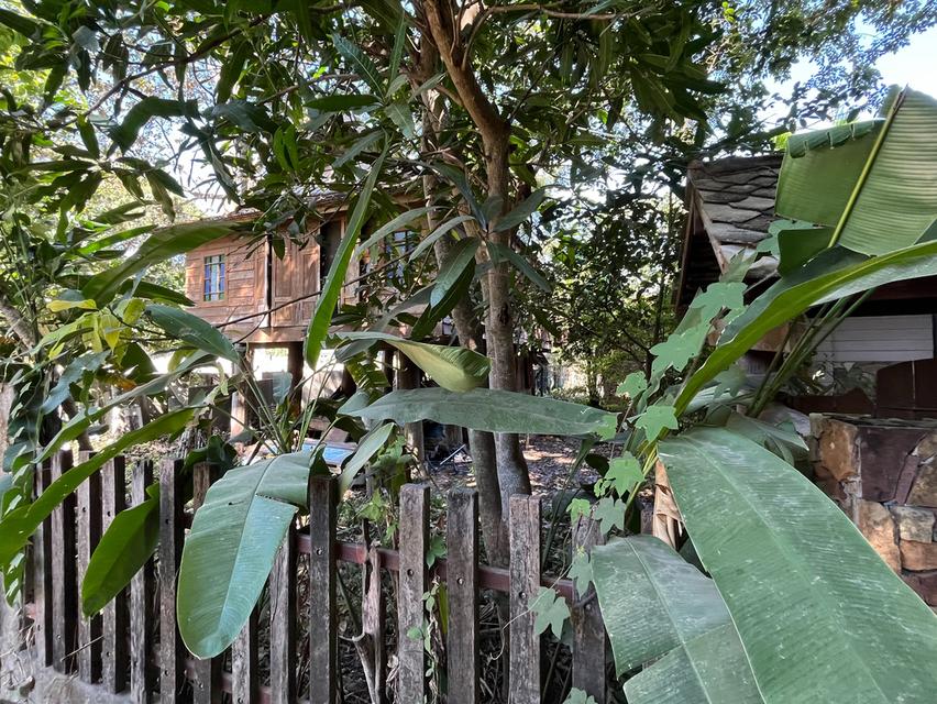 ที่ดินพร้อมบ้าน จำนวน 1 ไร่ มี 2 โฉนด 9