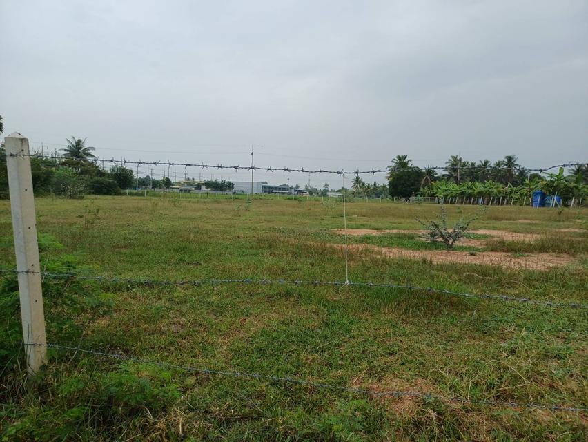 ขายที่ดินเปล่าถมแล้วจำนวน 4 ไร่ ต.เขาขลุง อ.บ้านโป่ง จ. ราชบุรี ห่างถนนใหญ่ 40 เมตร(ถนนกำลังขยาย 4 เลน) 12