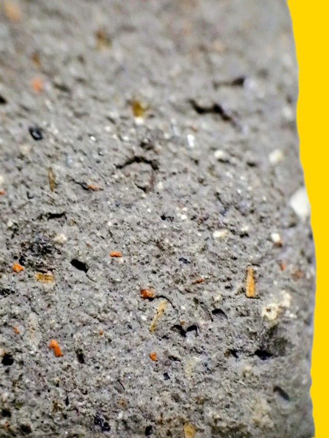 หลวงปู่ทวดเนื้อว่าน 2497 7