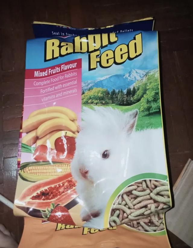 Rabster Rabbit Feed 2