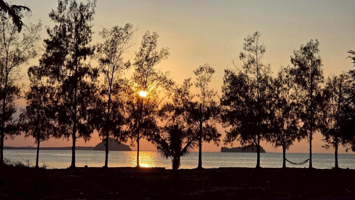 🏝️ ขายที่ดินติดทะเล ดอนสัก สุราษฎร์ธานี โฉนด น.ส.4 จ. (Land Title: Chantel (Nor Sor 4 Jor) Full Ownership 3