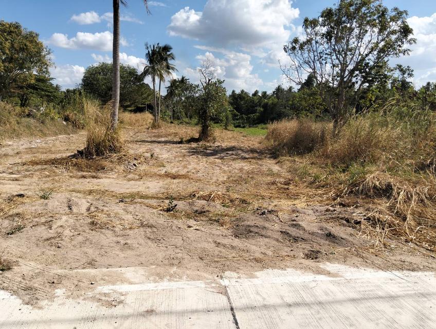 ขายที่ดิน 2 ไร่ บางพระ ใกล้มอเตอร์เวย์ ไม่ไกลจากเขาเขียว แบ่ง 1 ไร่ ได้ 3