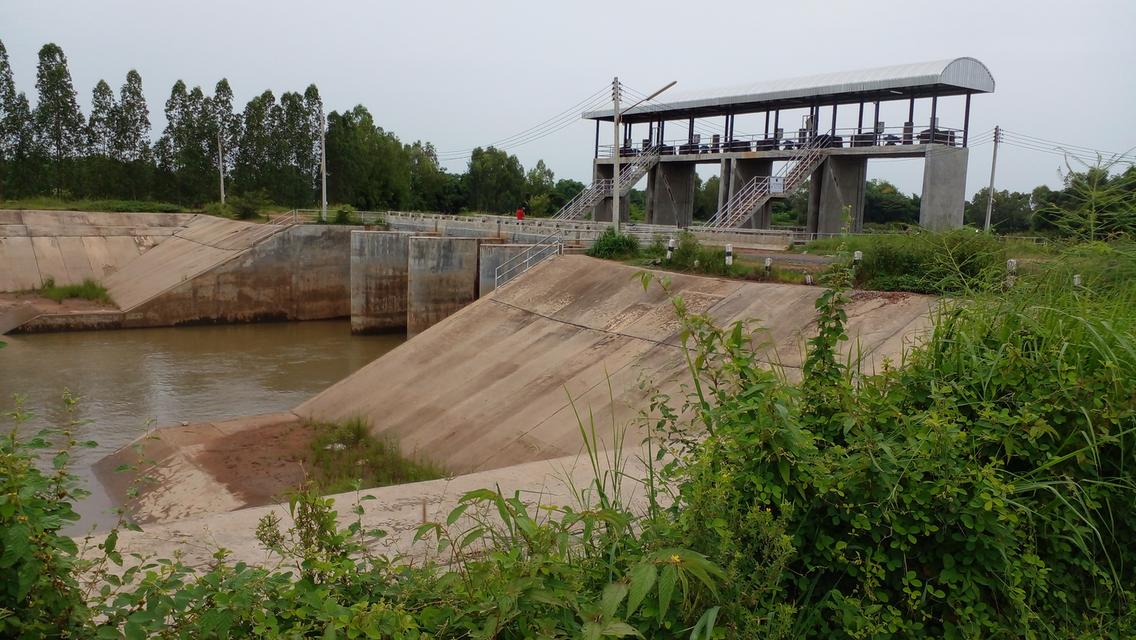 ขายที่ดินแปลงสวย เนื้อที่ 8 ไร่ ทำเลดี อำเภอเมือง หนองบัวลำภู 6