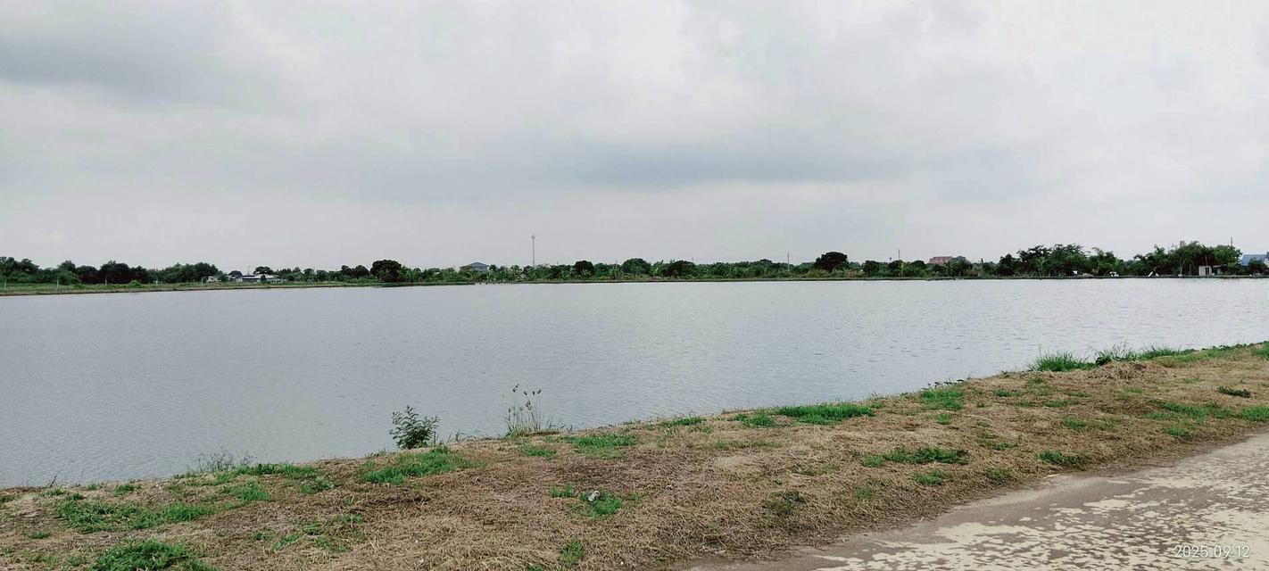 📢⛳ขายที่ดิน บางปลา (คลอง2) สมุทรปราการ ยังไม่ถม ⛳ 9