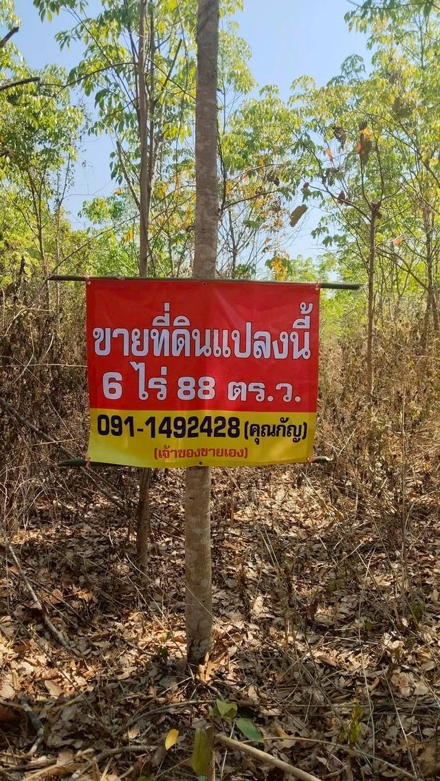 ที่ดิน จังหวัดหนองคาย อยู่อำเภอเฝ้า อยู่อำเภอเฝ้าไร่ สวนยาง 6 ไร่ 88 ตารางวา 1