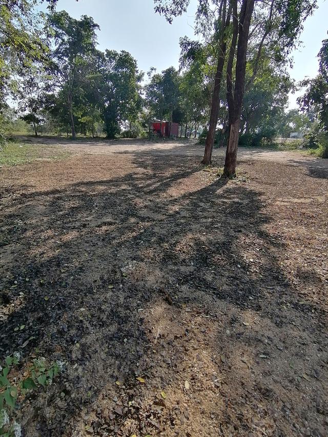 ที่ดินสวยติดแม่น้ำปิง จ.ลำพูน 9