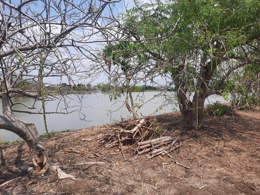 ที่ดิน ทำเลดี หลังสนามบินสุวรรณภูมิ 30 ไร่ 3