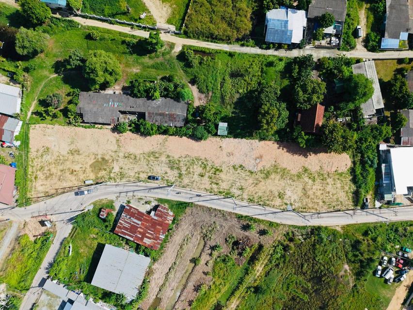 ขายที่ดินชัยพรวิถีซอย14หนองปรือ พัทยา 2 ไร่ ซอยมาบสอง-ค่ายหมวย6 ใกล้ถ.มอเตอร์เวย์7ขาเข้ากรุงเทพ-450เมตร อ.บางละมุง ชลบุรี 6