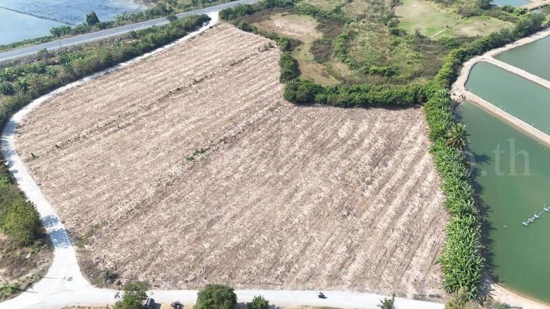 ที่ดินเปล่า ถมแล้ว 12-3-22 ไร่ ห้วยม่วง นครปฐม 8