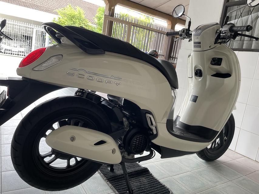 Scoopy ตัวใหม่ล่าสุด โฉม2022 ล้อแม็ก สีเดิมโรงงาน ไม่เคยล้ม ไม่เคยชน รถมือเดียว สภาพเดิม ไมล์แท้ วิ่ง4000 ปี66 5