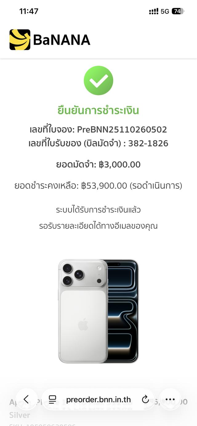 ปอมผสมชิวาวาเพศเมีย