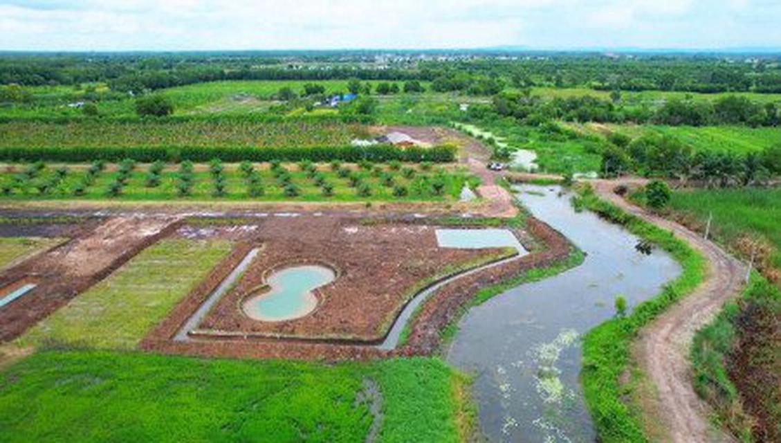 ขาย ที่ดิน ที่ดินพัฒนาแนวบ้านสวนเกษตร ที่ดินพัฒนา แนวบ้านสวนเกษตร 1 ไร่ 200 งาน ธรรมชาติสุดยอด 2