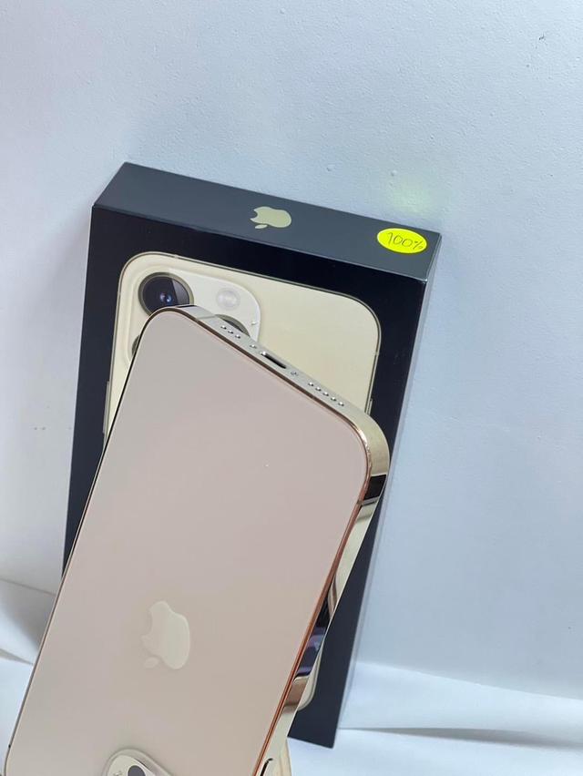 iPhone 13 Pro สี gold  4