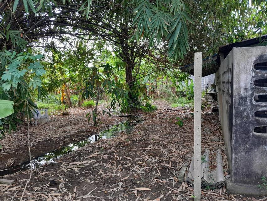 บ้านเดี่ยว สร้างโดยเจ้าของเก่า 2