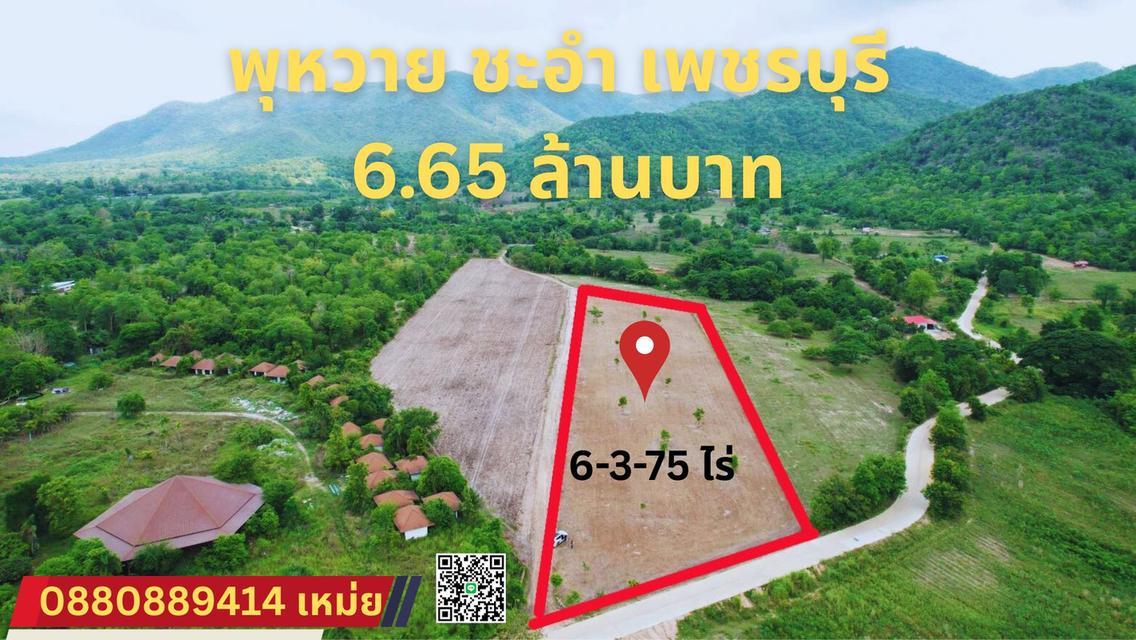ที่ดิน พุหวาย ชะอำ จ. เพชรบุรี 
