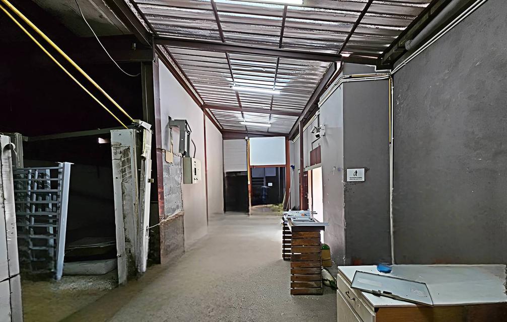 ขายและให้เช่าบ้านเดี่ยวเก่า ต้องปรับปรุง ไม่มีเฟอร์ ลาดพร้าว บ้านสวน ใจกลางเมือง 12