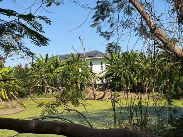 ขายที่ดินพหลโยธิน 35 แยก 19 ซอยสังข์ทอง 9 (พื้นที่สีส้ม) เนื้อที่ 6‑0‑69 ไร่ ใกล้เมเจอร์รัชโยธิน โทร 090-6360022 4