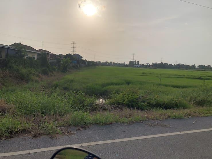 ขายที่ดินจัดสรร 150 ตรว. ขาย 370,000 บาท ตำบลวังทอง อำเภอวังทอง จังหวัดพิษณุโลก