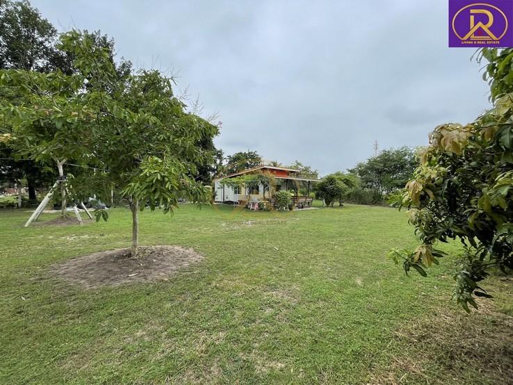 ขายบ้านสวน บ้านพัก 1-2-33 ไร่ พร้อมผลไม้ หลากหลายชนิด ทำเลดี เหมาะสำหรับพักผ่อน ต.บ้านสวน อ.เมืองชลบุรี จ.ชลบุรี 1
