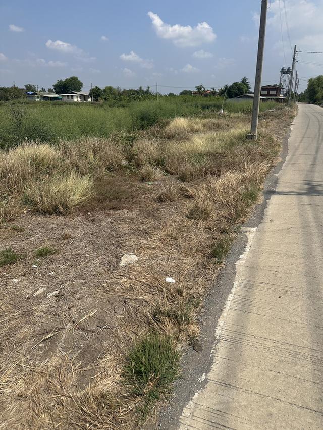 ที่ดินเปล่า อำเภอไทรน้อย จังหวัดนนทบุรี 3