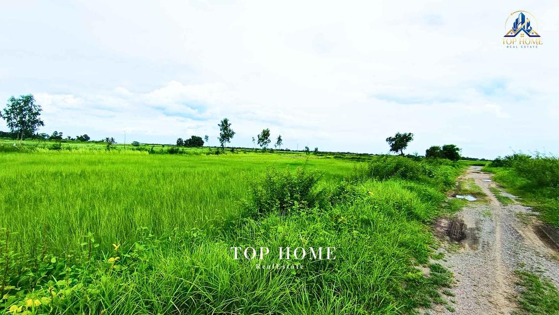 ขายด่วน! ที่ดินเปล่า 200 ตร.ว. องครักษ์ 24 — ราคาเพียง 590,000 บาท! 🔥 🌿 แปลงสวย ขนาดกำลังดี เหมาะทำสวน–เพาะปลูก | โฉนดเดียว 3
