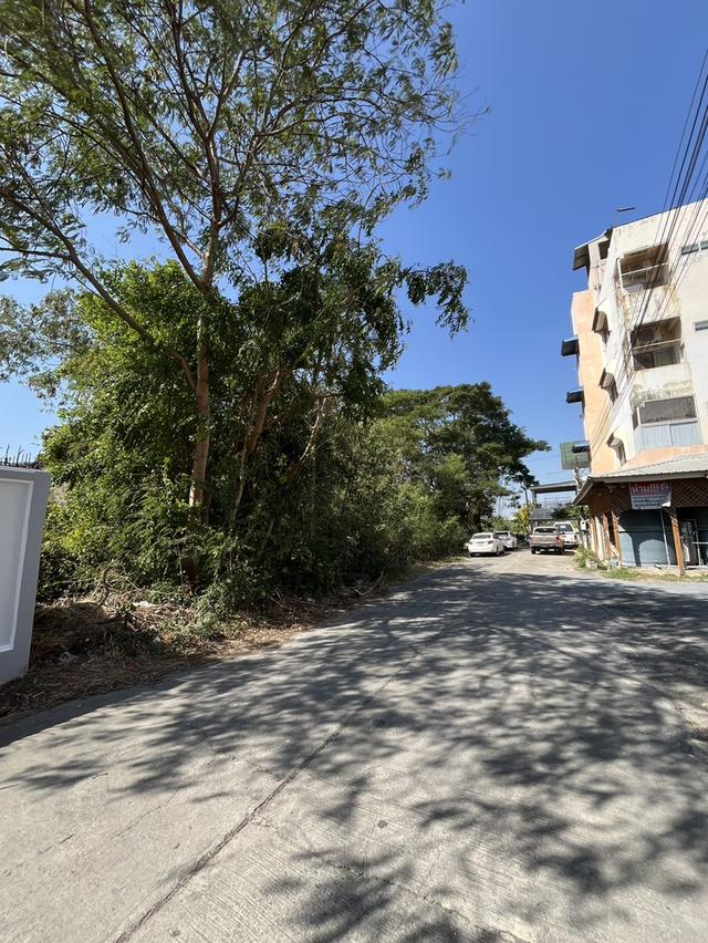 ขายที่ดินถมแล้ว 186 ตรว. ในหมู่บ้านศศิกานต์แลนด์ ซ.พิชัยณรงค์สงคราม37 อ.เมืองสระบุรี สระบุรี ใกล้แหล่งชุมชน เหมาะสร้างหอพัก สำนักงาน บ้านพัก อื่นๆ 4