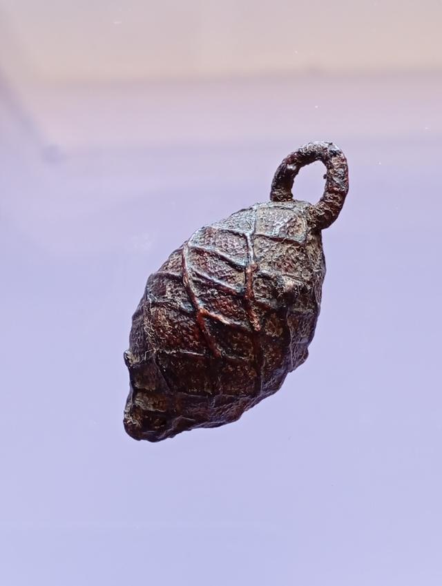 หมากทุยหลวงปู่เอี่ยมวัดหนัง รูปที่ 2