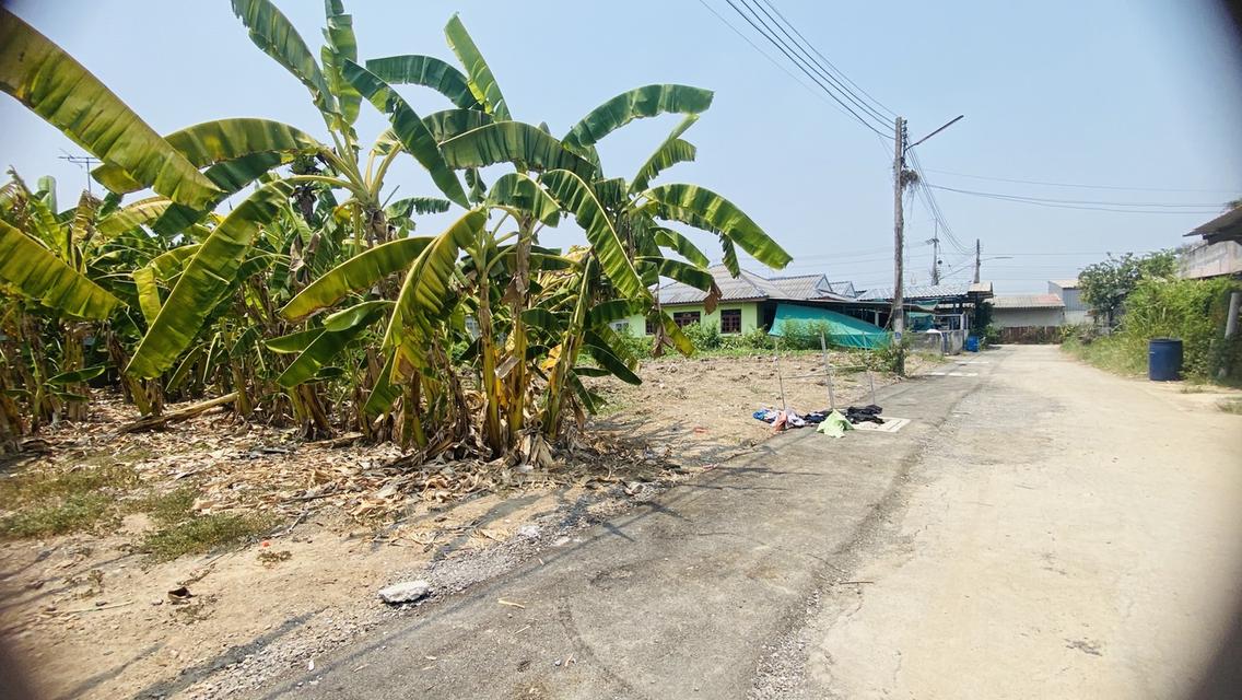 ที่ดินเปล่า  จังหวัดอ่างทอง 2