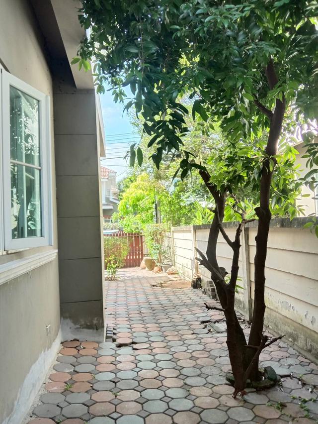 ขายบ้านเดี่ยว หมู่บ้านภัทรา อ่อนนุช-วงแหวน สุขาภิบาล2 7